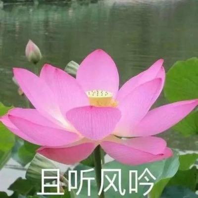 【境内疫情观察】广东新增20例本土病例（5月30日）